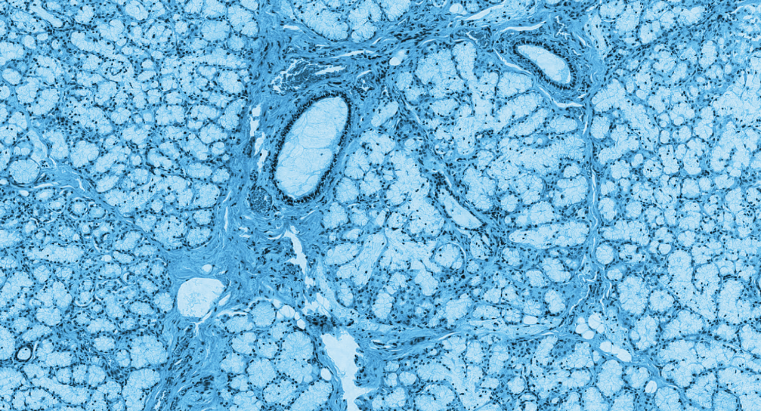 Blue microscopic texture
